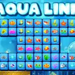 Aqua Link