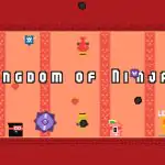 Kingdom of Ninja 5