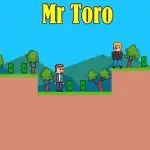 Mr Toro